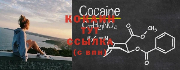 прущая мука Горняк