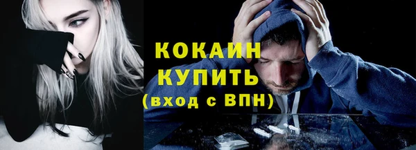 соль ск Горнозаводск