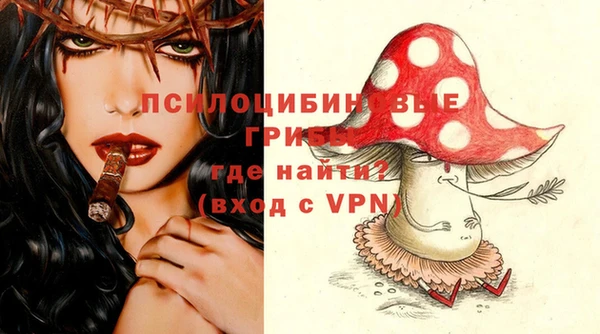 соль ск Горнозаводск