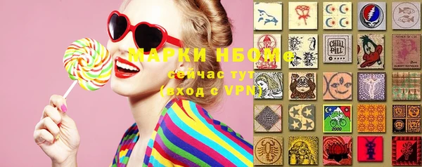 соль ск Горнозаводск
