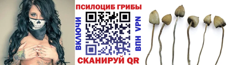 Псилоцибиновые грибы ЛСД  Духовщина 